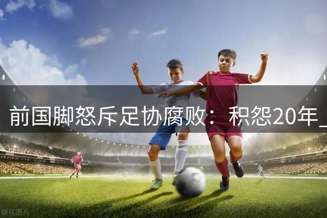 前国脚怒斥足协腐败：积怨20年 见其出事拍手称快