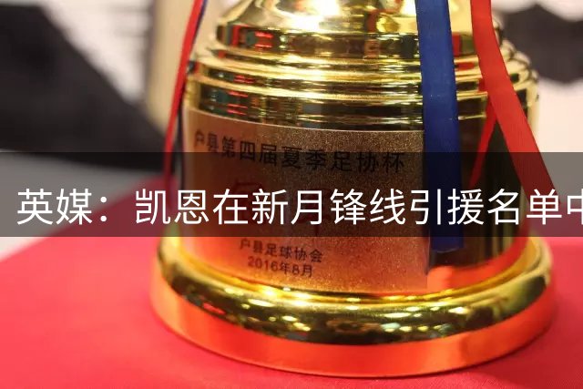 英媒：凯恩在新月锋线引援名单中高居第一，其代表已与新月接触